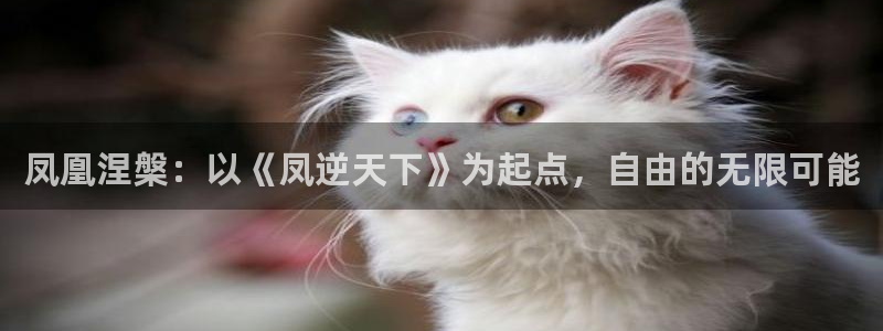 虫虫漫画在线免费：凤凰涅槃：以《凤逆天下》为起点，自由的无限可能