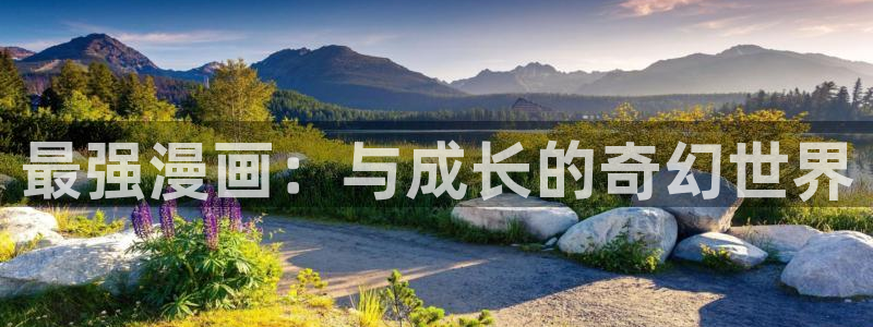 虫虫漫画破解版大全：最强漫画：与成长的奇幻世界