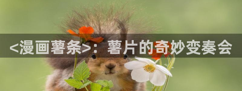 虫虫漫画页面免费漫画入口：<漫画薯条>：薯片的奇妙变奏会